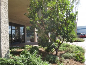 KI WB Carson HQ After sm 101111 (8)
