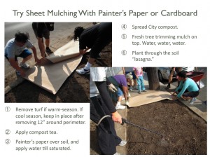 Sheet Mulching032311