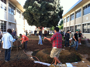 Torrance HOW 2 120311 sm(5)