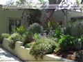 Plant Goddess Landscape Design Plant Goddess Landscape Design