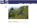 Rodriguez & Satterthwaite Design Build Landscape Rodriguez & Satterthwaite Design Build Landscape