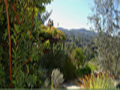 Comfort Zones Garden Design Comfort Zones Garden Design