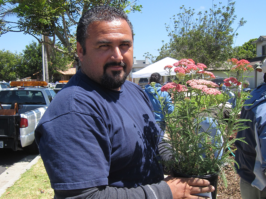 Garden Maintenance Training G3, Green Gardens Group