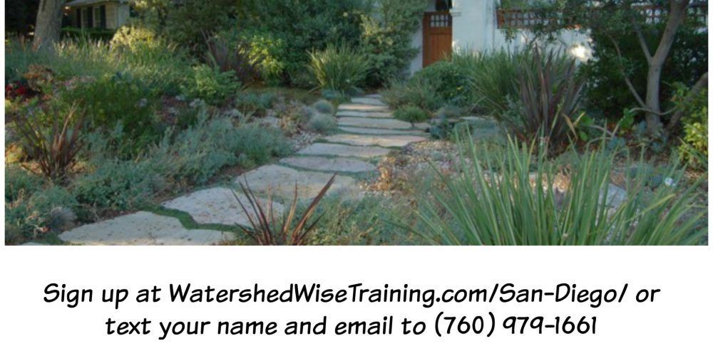 Taking A Watershed Approach to Landscaping